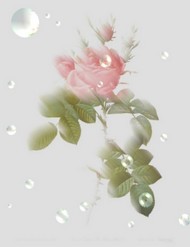 Poem Image