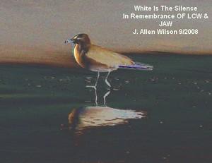 Poem Artwork