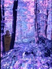 Poem Artwork