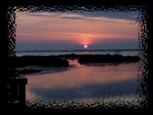Poem Image