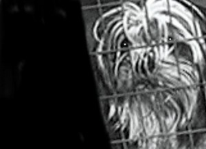 Poem Artwork