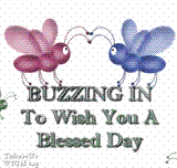 Poem Image