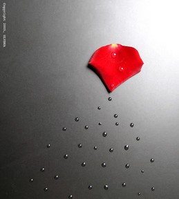 Poem Image