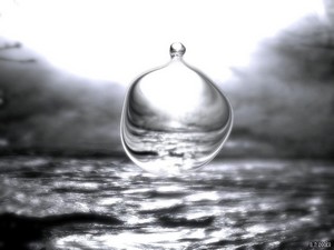 Poem Image