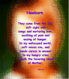 Poem Image