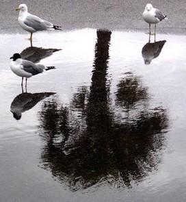 Poem Artwork