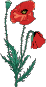 Poem Image