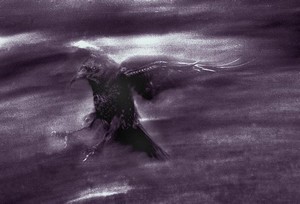Poem Artwork