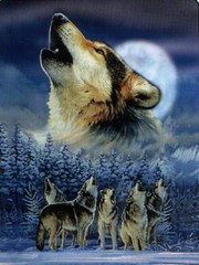 Poem Artwork