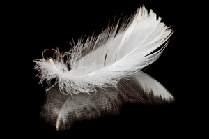 Poem Image