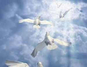 Poem Artwork