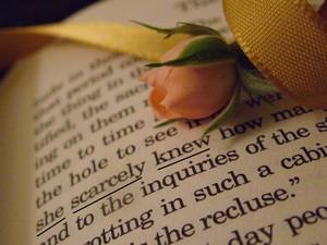 Poem Image