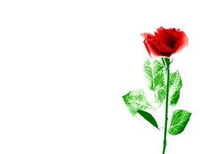 Poem Artwork