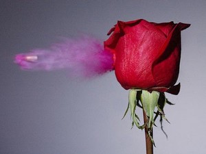 Poem Artwork