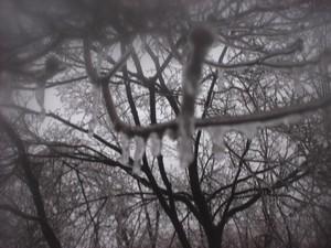 Poem Image