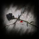 Poem Image
