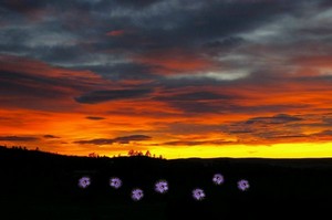 Poem Artwork