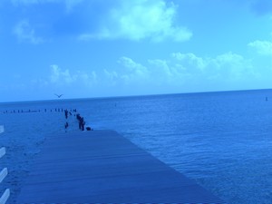 Poem Image