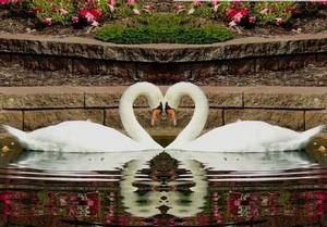 Poem Image