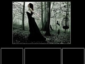 Poem Image