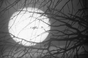 Poem Image