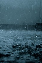 Poem Artwork