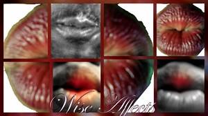 Poem Image