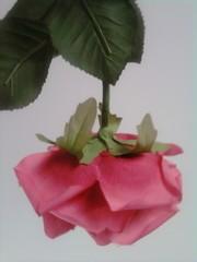 Poem Image