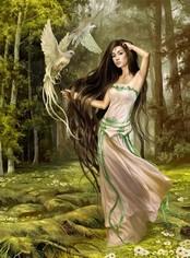 Poem Image