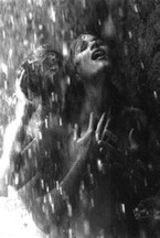Poem Image
