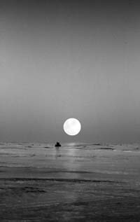 Poem Image