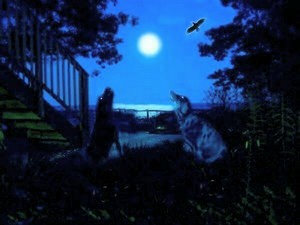 Poem Artwork