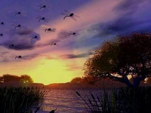 Poem Artwork