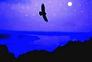 Poem Artwork