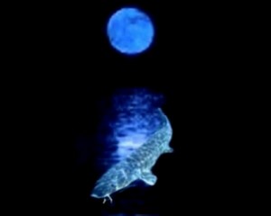 Poem Artwork