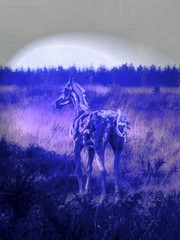 Poem Artwork