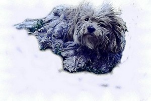 Poem Artwork