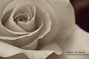 Poem Image