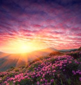 Poem Image