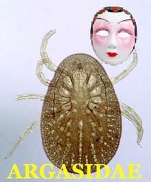 Poem Image