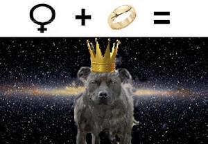 Poem Image