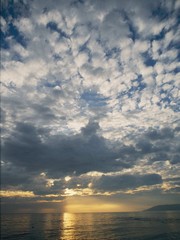 Poem Image