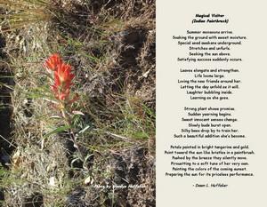 Poem Image