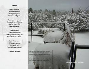 Poem Image