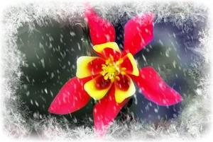 Poem Image