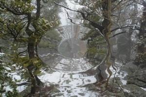 Poem Artwork