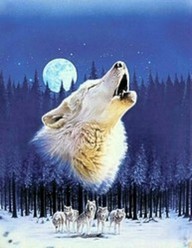 Poem Artwork