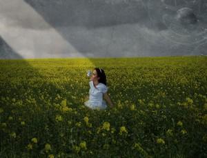 Poem Image