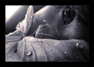 Poem Image