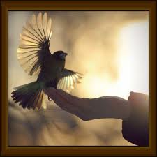 Poem Image
